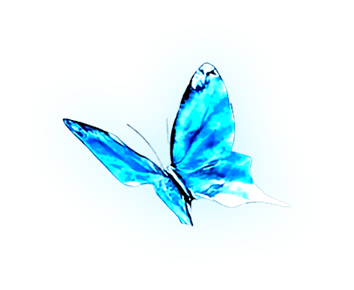 Butterfly 2
