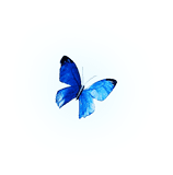 Butterfly 5